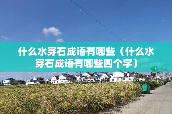 什么水穿石成语有哪些（什么水穿石成语有哪些四个字）
