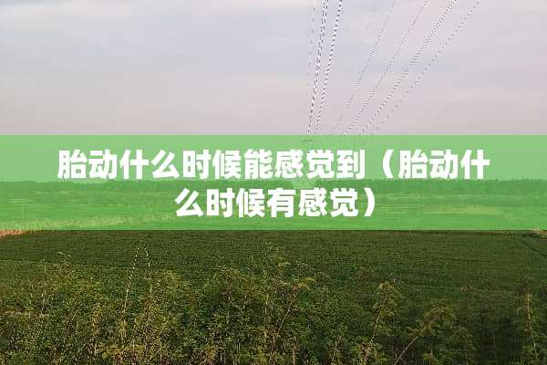 胎动什么时候能感觉到（胎动什么时候有感觉）