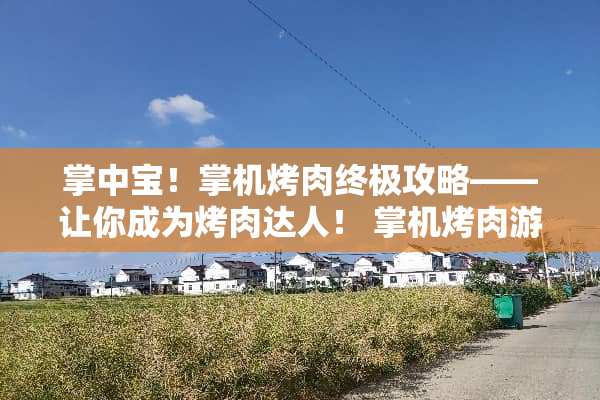 掌中宝！掌机烤肉终极攻略——让你成为烤肉达人！ 掌机烤肉游戏攻略