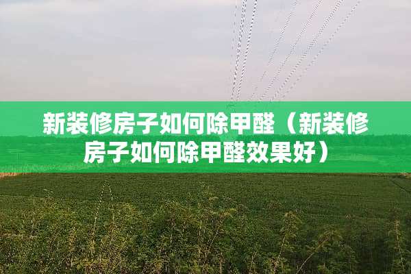 新装修房子如何除甲醛（新装修房子如何除甲醛效果好）