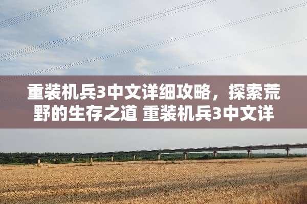 重装机兵3中文详细攻略，探索荒野的生存之道 重装机兵3中文详细攻略