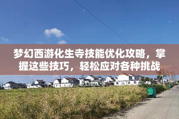 梦幻西游化生寺技能优化攻略，掌握这些技巧，轻松应对各种挑战 梦幻西游化生寺技能