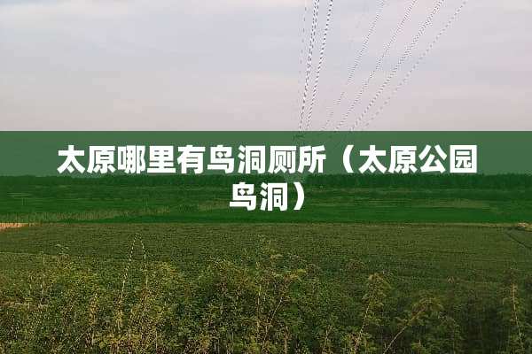 太原哪里有鸟洞厕所（太原公园鸟洞）