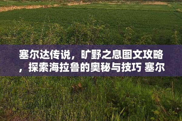 塞尔达传说，旷野之息图文攻略，探索海拉鲁的奥秘与技巧 塞尔达图文攻略