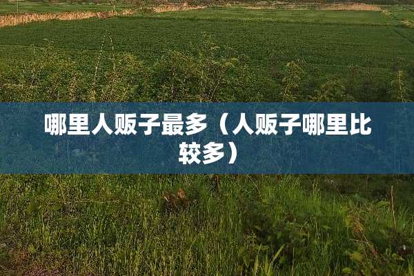 哪里人贩子最多（人贩子哪里比较多）