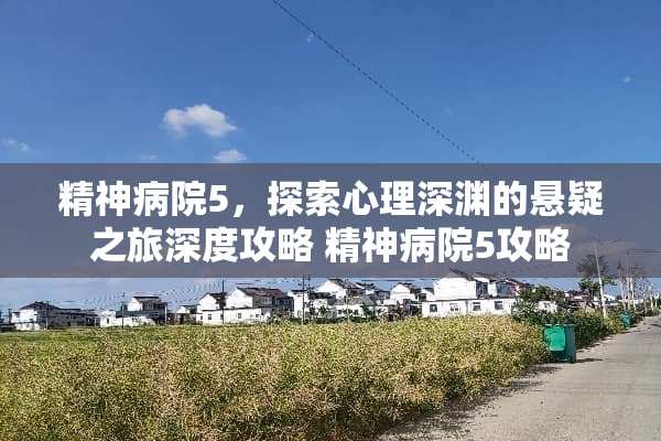 精神病院5，探索心理深渊的悬疑之旅深度攻略 精神病院5攻略