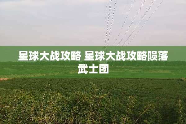 星球大战攻略 星球大战攻略陨落武士团