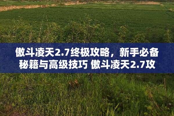 傲斗凌天2.7终极攻略，新手必备秘籍与高级技巧 傲斗凌天2.7攻略