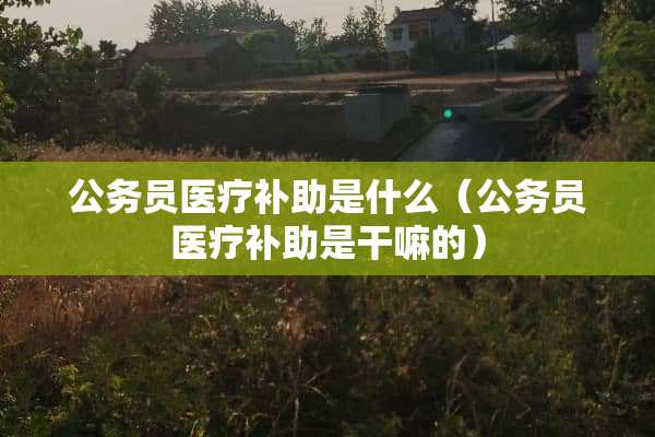 公务员医疗补助是什么（公务员医疗补助是干嘛的）