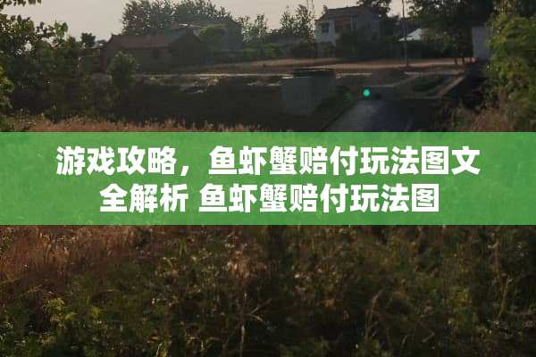 游戏攻略，鱼虾蟹赔付玩法图文全解析 鱼虾蟹赔付玩法图