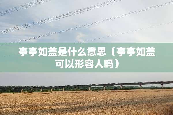 亭亭如盖是什么意思（亭亭如盖可以形容人吗）