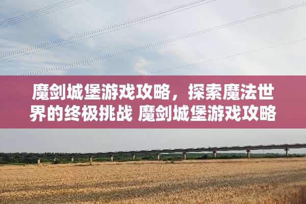 魔剑城堡游戏攻略，探索魔法世界的终极挑战 魔剑城堡游戏攻略