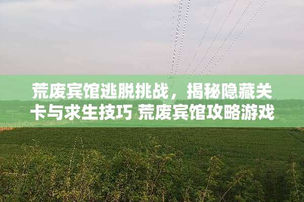 荒废宾馆逃脱挑战，揭秘隐藏关卡与求生技巧 荒废宾馆攻略游戏