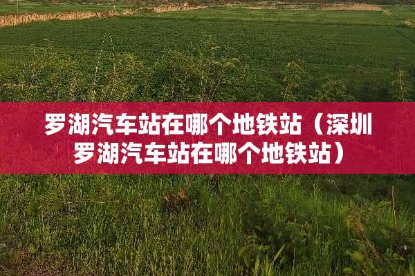 罗湖汽车站在哪个地铁站（深圳罗湖汽车站在哪个地铁站）