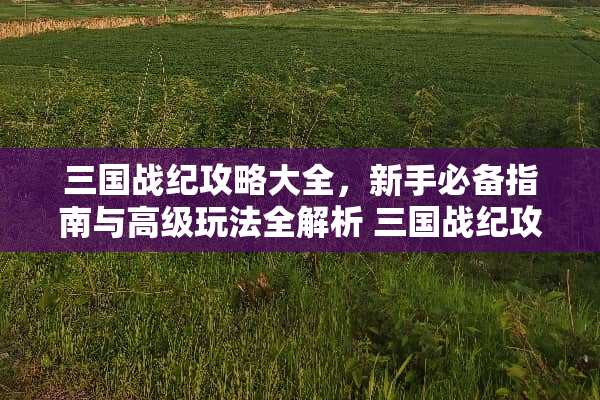 三国战纪攻略大全，新手必备指南与高级玩法全解析 三国战纪攻略大全