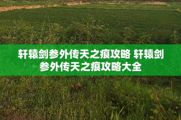轩辕剑参外传天之痕攻略 轩辕剑参外传天之痕攻略大全