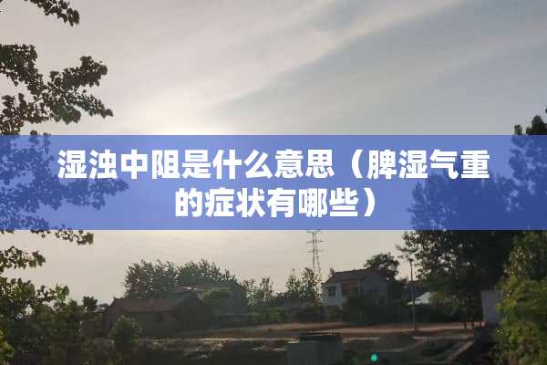 湿浊中阻是什么意思（脾湿气重的症状有哪些）