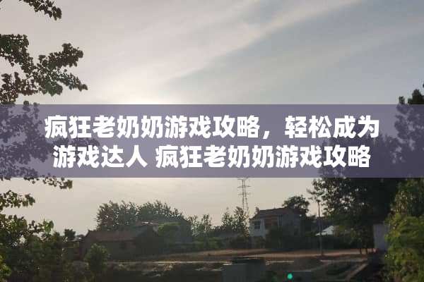 疯狂老奶奶游戏攻略，轻松成为游戏达人 疯狂老奶奶游戏攻略