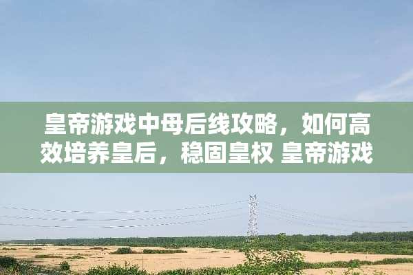 皇帝游戏中母后线攻略，如何高效培养皇后，稳固皇权 皇帝游戏中母后线攻略
