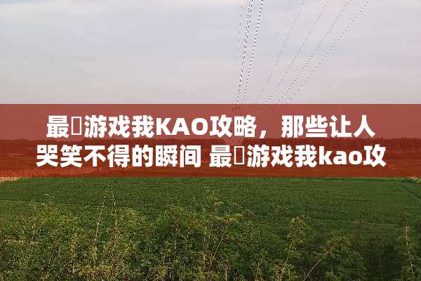 最囧游戏我KAO攻略，那些让人哭笑不得的瞬间 最囧游戏我kao攻略