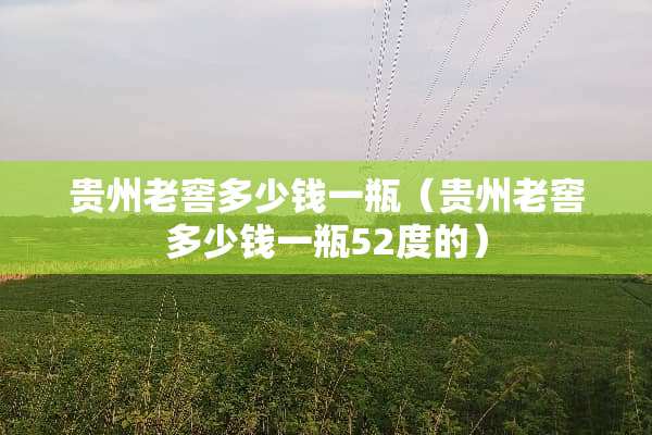 贵州老窖多少钱一瓶（贵州老窖多少钱一瓶52度的）