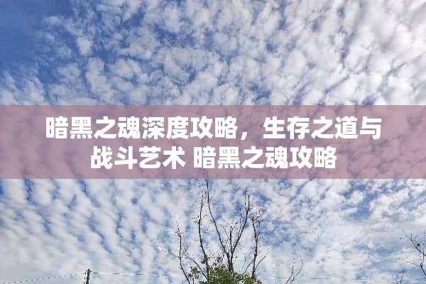 暗黑之魂深度攻略，生存之道与战斗艺术 暗黑之魂攻略