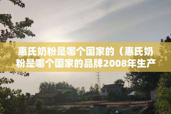 惠氏奶粉是哪个国家的（惠氏奶粉是哪个国家的品牌2008年生产的）