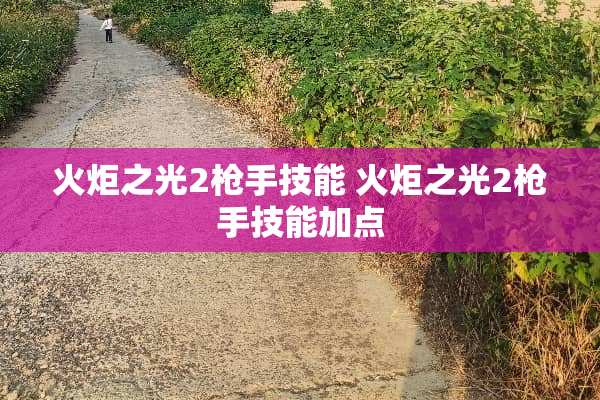 火炬之光2*手技能 火炬之光2*手技能加点