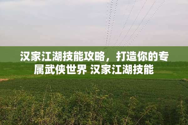 汉家江湖技能攻略，打造你的专属武侠世界 汉家江湖技能