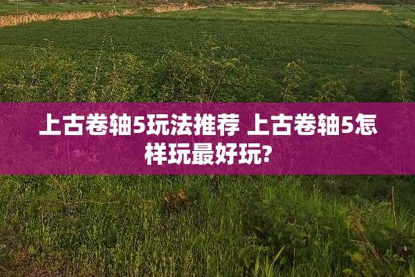 上古卷轴5玩法推荐 上古卷轴5怎样玩最好玩?