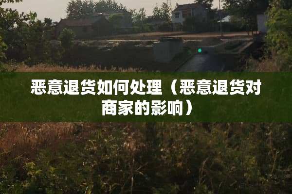 恶意退货如何处理（恶意退货对商家的影响）