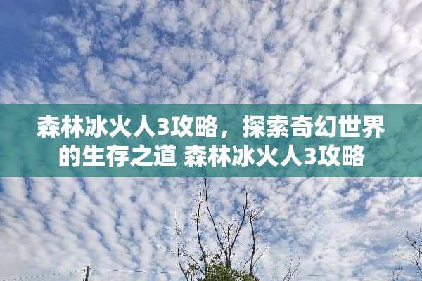 森林冰火人3攻略，探索奇幻世界的生存之道 森林冰火人3攻略