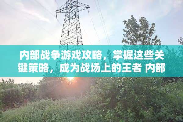 内部战争游戏攻略，掌握这些关键策略，成为战场上的王者 内部战争游戏攻略