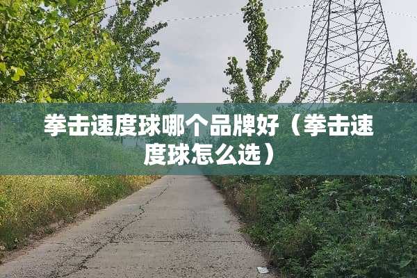 拳击速度球哪个品牌好（拳击速度球怎么选）