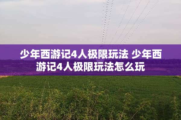 少年西游记4人极限玩法 少年西游记4人极限玩法怎么玩