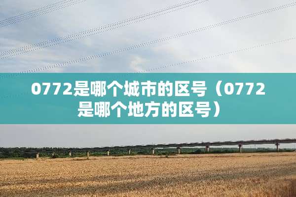 0772是哪个城市的区号（0772是哪个地方的区号）