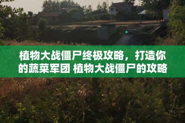 植物大战僵尸终极攻略，打造你的蔬菜军团 植物大战僵尸的攻略