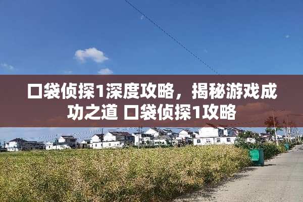 口袋侦探1深度攻略，揭秘游戏成功之道 口袋侦探1攻略