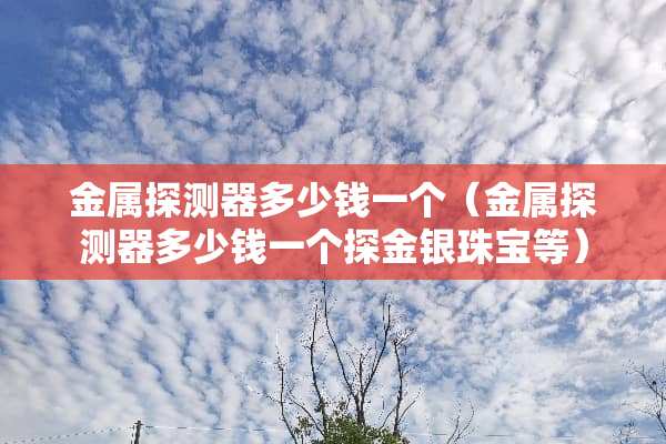 金属探测器多少钱一个（金属探测器多少钱一个探金银珠宝等）