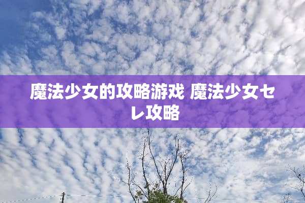 魔法少女的攻略游戏 魔法少女セレ攻略