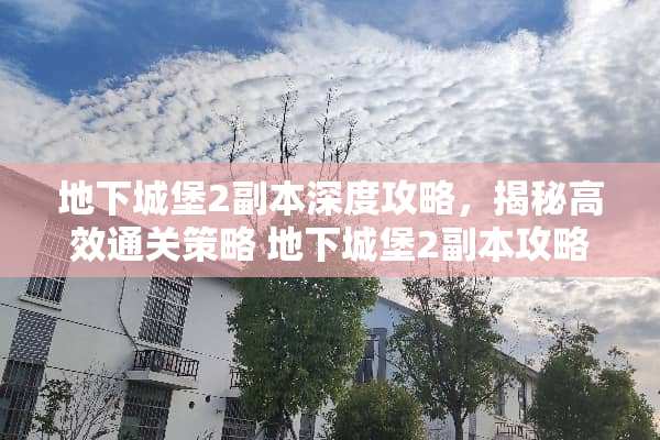 地下城堡2副本深度攻略，揭秘高效通关策略 地下城堡2副本攻略