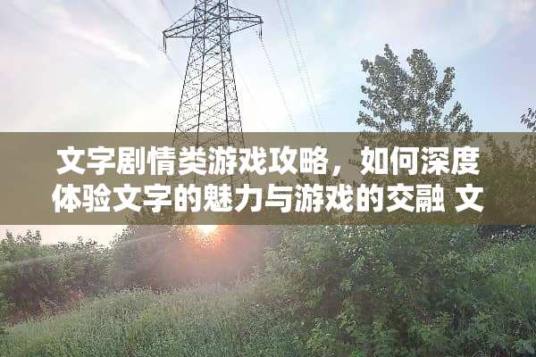 文字剧情类游戏攻略，如何深度体验文字的魅力与游戏的交融 文字剧情类游戏攻略