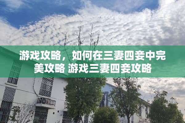 游戏攻略，如何在三妻四妾中完美攻略 游戏三妻四妾攻略