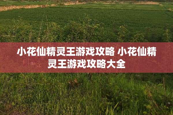 小花仙精灵王游戏攻略 小花仙精灵王游戏攻略大全