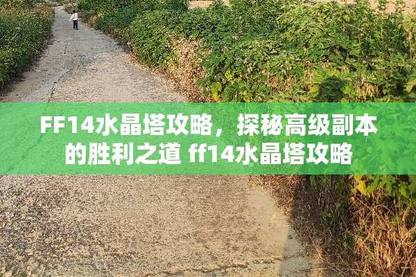 FF14水晶塔攻略，探秘高级副本的胜利之道 ff14水晶塔攻略