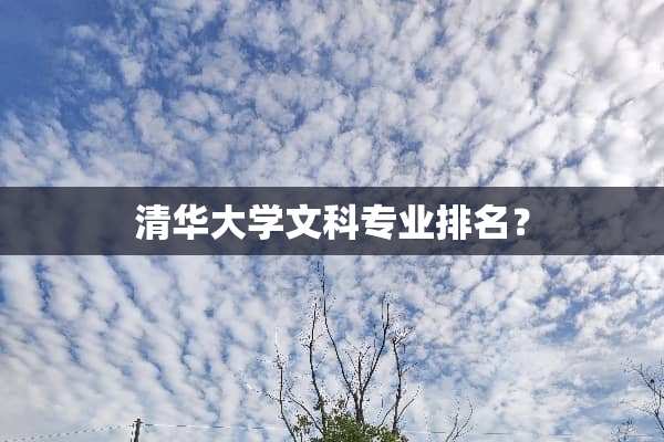 清华大学文科专业排名？