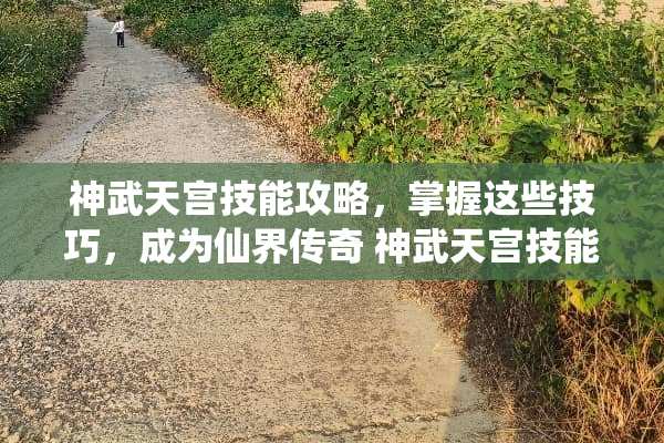 神武天宫技能攻略，掌握这些技巧，成为仙界传奇 神武天宫技能