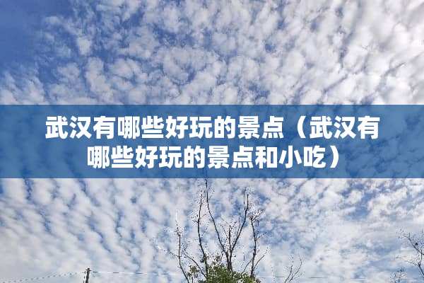 武汉有哪些好玩的景点（武汉有哪些好玩的景点和小吃）