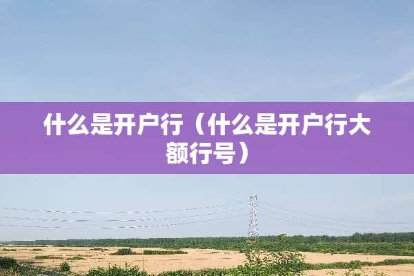 什么是开户行（什么是开户行大额行号）