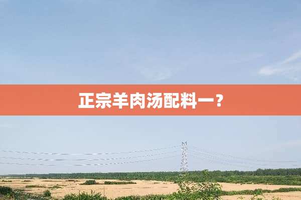 正宗羊肉汤配料一？